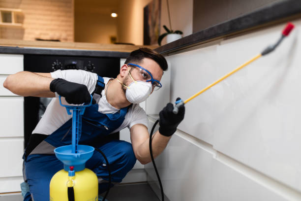 Best Cockroach Control Services  in Yuipa, CA