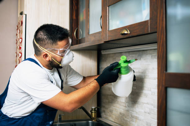 Best Best Pest Control Companies  in Yuipa, CA