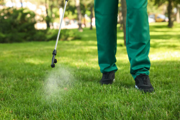 Best Mosquito Control Services  in Yuipa, CA