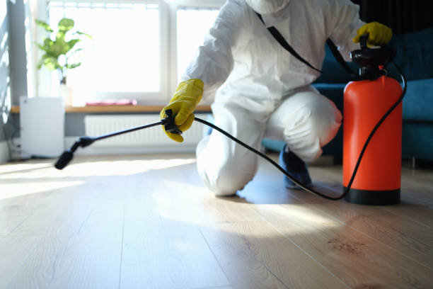 Best Pest Prevention Services  in Yuipa, CA