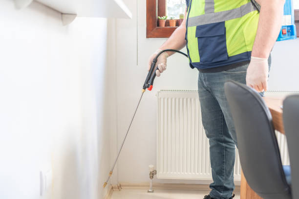 Pest Control Cost in Yucaipa, CA