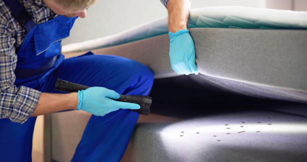 Best Best Pest Control Near Me  in Yuipa, CA
