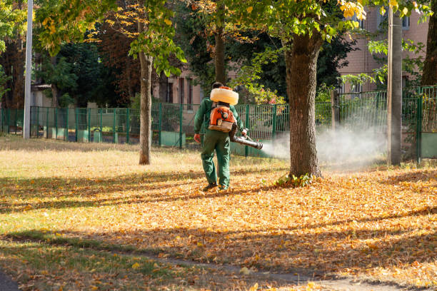 Best Emergency Pest Control  in Yuipa, CA