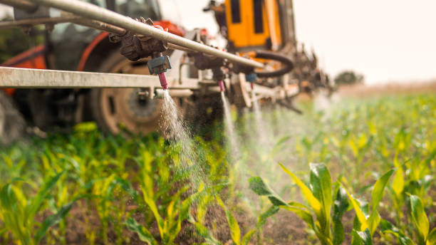 Best Wildlife Control Services  in Yuipa, CA